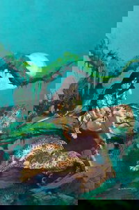 Esteban Maroto [Gods of the Wastelands] 1979