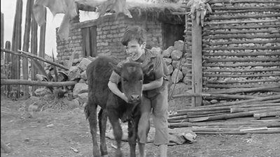 The Brave One 1956
