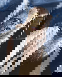 The Curse of the Werewolf 1961