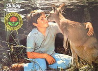 Skippy the Bush Kangaroo [Postcard] 1970?