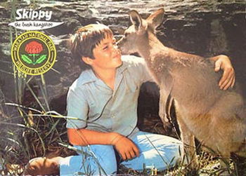 Skippy the Bush Kangaroo [Postcard] (1970?)