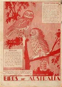 Dandy Comics (Frank Johnson, 1947?)  — Western Winking Owl; Brown Owl (page 1)