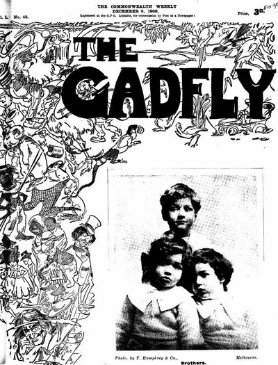 The Gadfly  v1#43 (5 December 1906)