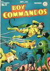 Boy Commandos  #17 (September-October 1946)