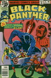 Black Panther  #14 (March 1979)