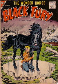 Black Fury (Charlton, 1955 series) #16 November 1958