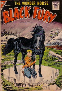 Black Fury  #16 (November 1958)