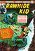 The Rawhide Kid (Marvel, 1960 series) #120 (May 1974)