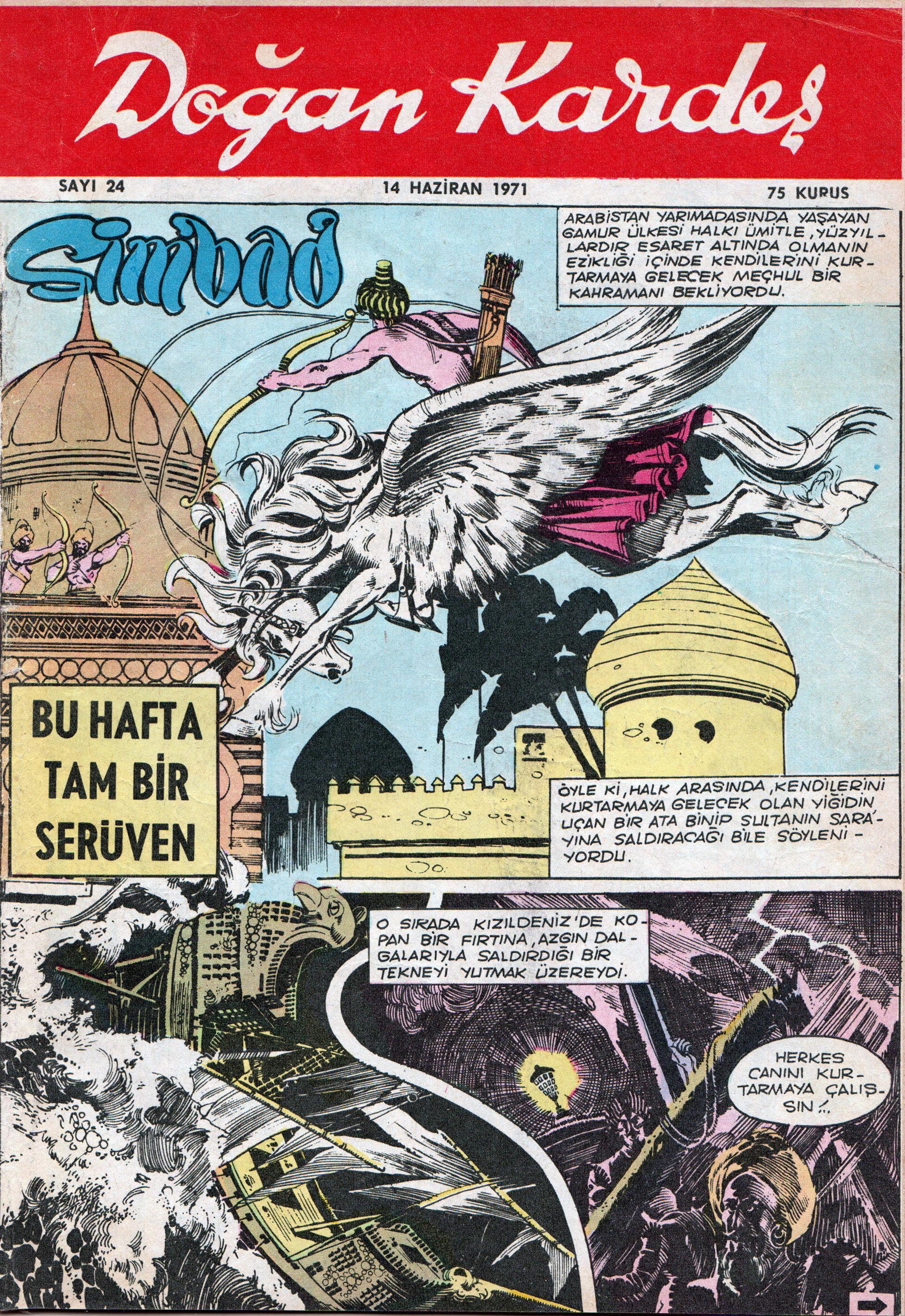 Doğan Kardeş (Yapı Kredi Yayınları, 1969 series) v1971#24 (14 June 1971)