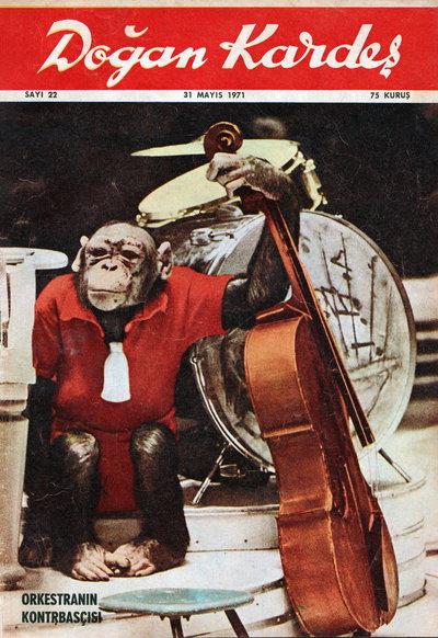 Doğan Kardeş  v1971#22 (31 May 1971)