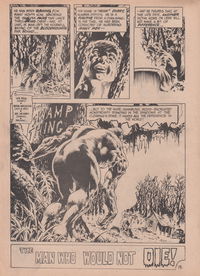 Superman Presents Swamp Thing (Murray, 1981)  — The Man Who Would Not Die!