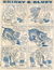 A Pyramid Comic (Pyramid, 1946 series) #PC105 — The Adventures of Skinny and Bluey (page 2)