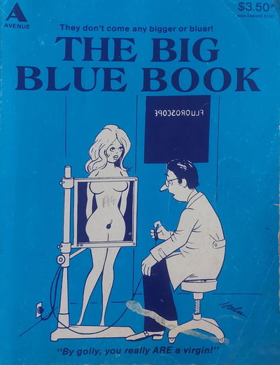 The Big Blue Book (Avenue, 1980 series) [nn] ([1981?])