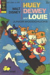 Walt Disney Huey, Dewey and Louie Junior Woodchucks  #21 (July 1973)