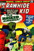 The Rawhide Kid (Marvel, 1960 series) #117 (November 1973)