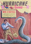 Hurricane Comic  #13 [C41] ([1947?])