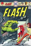 The Flash  #236 (September 1975)
