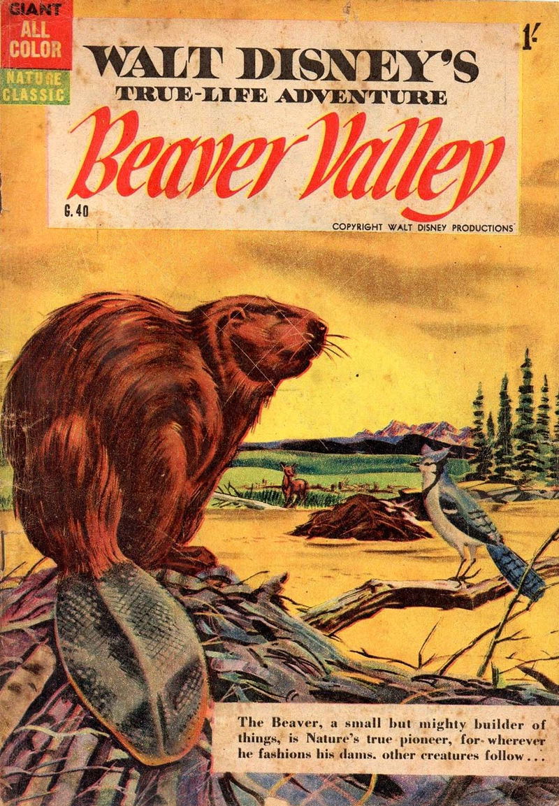 Walt Disney's Giant Comics [G Series] (WG Publications, 1951 series) #G.40 — Walt Disney's True-Life Adventure Beaver Valley ([1955])
