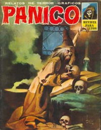 Panico (Vilmar, 1975 series) #27 November 1977