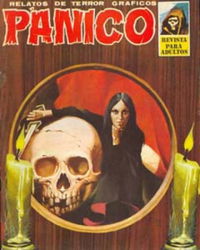 Panico (Vilmar, 1975 series) #29 January 1978