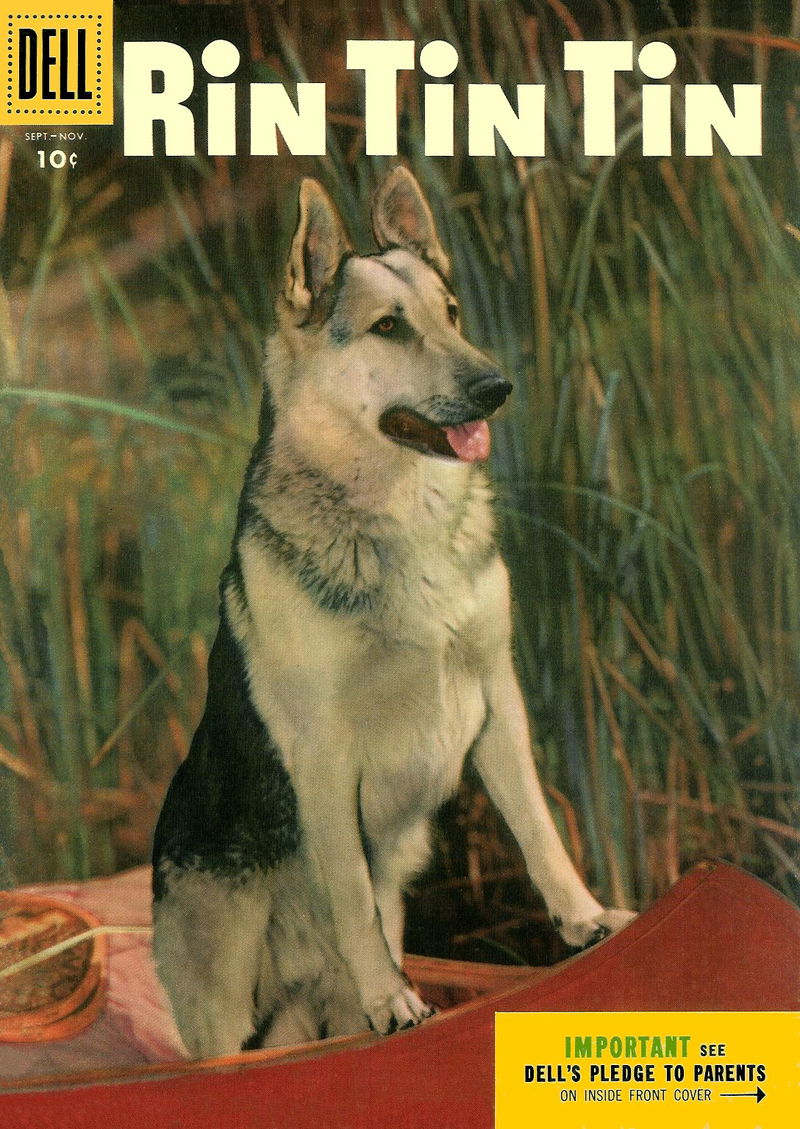 Rin Tin Tin (Dell, 1954 series) #10 (September-November 1955)