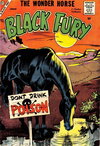 Black Fury  #17 (January 1959)