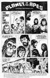 Planet of the Apes (Newton, 1975 series) #8 — The Secret of the Apes!! (page 1)