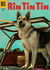 Rin Tin Tin (Dell, 1954 series) #13 (May-June 1956)