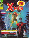 Secret Lives of the X-Men (Yaffa/Page, 1981?)  [1981]