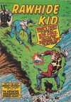 Rawhide Kid  #7 ([1981])