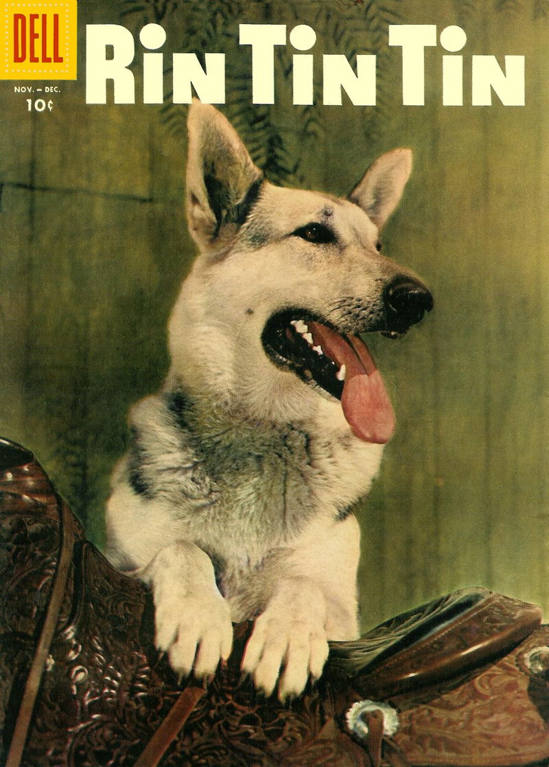 Rin Tin Tin (Dell, 1954 series) #16 (November-December 1956)