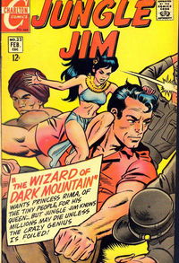 Jungle Jim (Charlton, 1969 series) #22