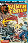 The Human Torch  #2 (November 1974)