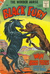 Black Fury  #18 (April 1959)