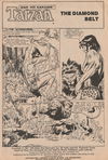 Edgar Rice Burroughs' Tarzan (Murray, 1980 series) #19 — The Diamond Belt (page 1)