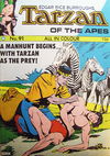 Edgar Rice Burroughs Tarzan of the Apes (Top Sellers, 1973? series) #91 [December 1975?]