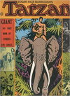 Edgar Rice Burroughs Tarzan Giant Book of Stories and Comics [nn] ([1971?])