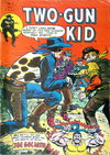 Two-Gun Kid  #5 ([1980?])