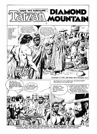 Edgar Rice Burroughs' Tarzan (Murray, 1980 series) #6 — Diamond Mountain (page 1)