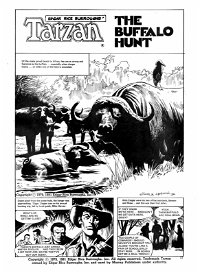 Edgar Rice Burroughs' Tarzan (Murray, 1980 series) #6 — The Buffalo Hunt (page 1)