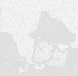 Battling Bantam  #2 ([October 1952?])